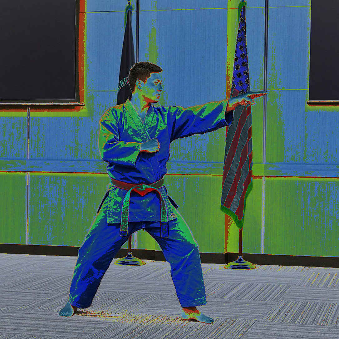 Alert: Many martial arts articles in Vietnam lack basic data Alert: Many martial arts articles in Vietnam lack basic data