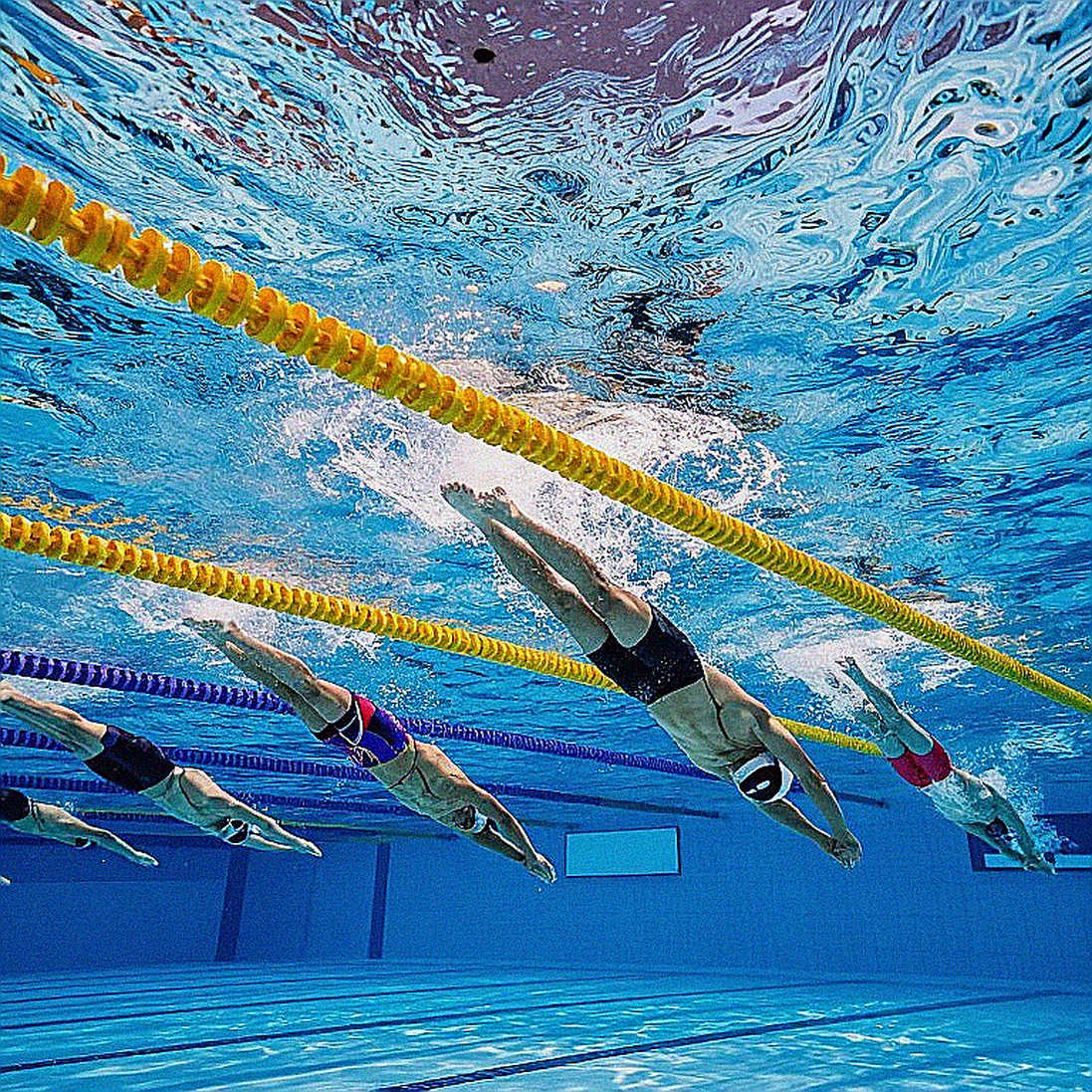 The Pool With No Splits: Vietnamese Swimming's Data Gap The Pool With No Splits: Vietnamese Swimming's Data Gap