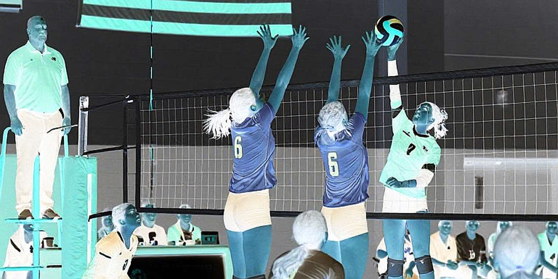 Ai Cập lần đầu dự Olympic: Chức vô địch châu Phi mở ra cánh cửa Los Angeles 2028