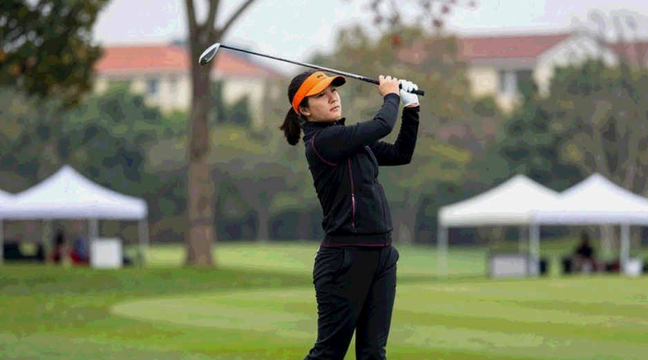 Golf Driver Technology 2026: Golf Industry Shifts from Pure Speed to Forgiveness - Golf Laboratories Data Analysis