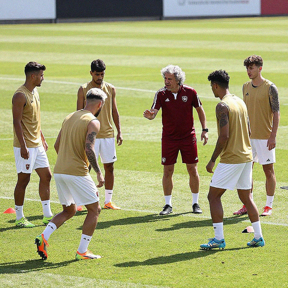 Pochettino lên tiếng về Pellegrini và Chile: Một cái tên có cứu được một nền bóng đá đang lụi tàn? Pochettino lên tiếng về Pellegrini và Chile: Một cái tên có cứu được một nền bóng đá đang lụi tàn?
